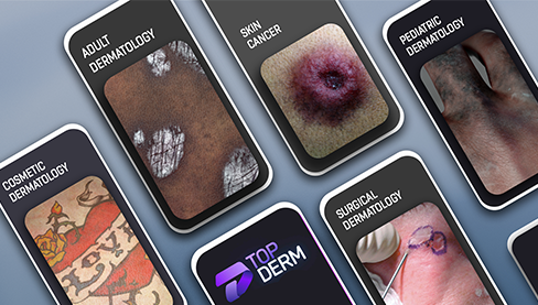 A Wide Variety of Subjects to Play in Top Derm